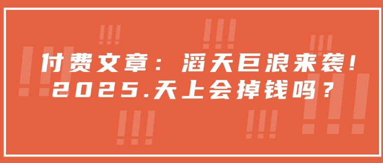 付费文章：滔天巨浪来袭！2025天上会掉钱吗？-87创业网