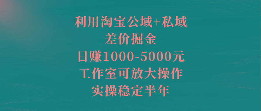 利用淘宝公域+私域差价掘金，日赚1000-5000元，工作室可放大操作，实操…-87创业网