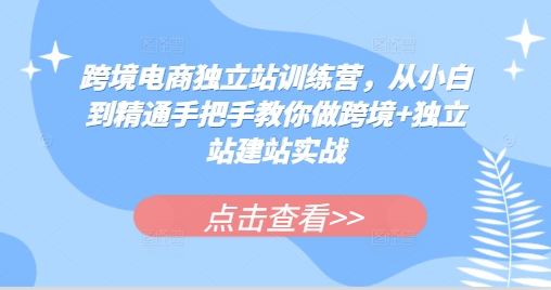 跨境电商独立站训练营，从小白到精通手把手教你做跨境+独立站建站实战-87创业网