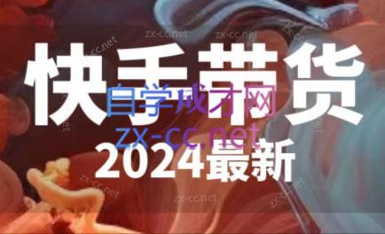 快手带货(2024最新)-87创业网