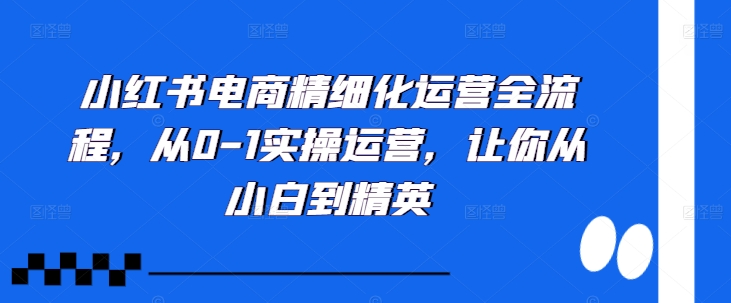 小红书电商精细化运营全流程，从0-1实操运营，让你从小白到精英-87创业网