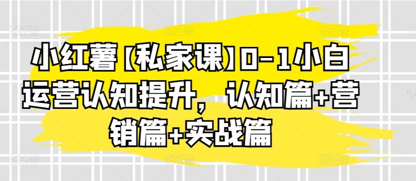 小红薯【私家课】0-1小白运营认知提升，认知篇+营销篇+实战篇-87创业网