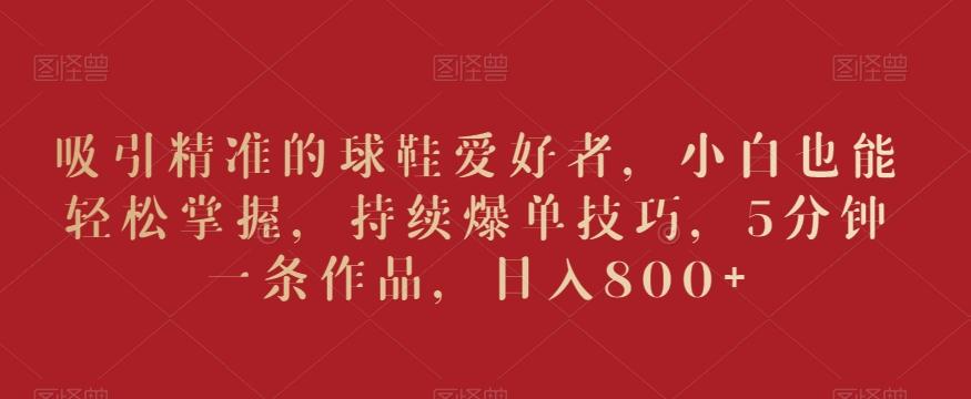 吸引精准的球鞋爱好者，小白也能轻松掌握，持续爆单技巧，5分钟一条作品，日入800+【揭秘】-87创业网