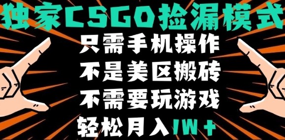 CSGO自动捡漏项目，最新独家玩法，不是美区搬砖，不需要了解和玩游戏，新手小白轻松月入1W+【揭秘】-87创业网