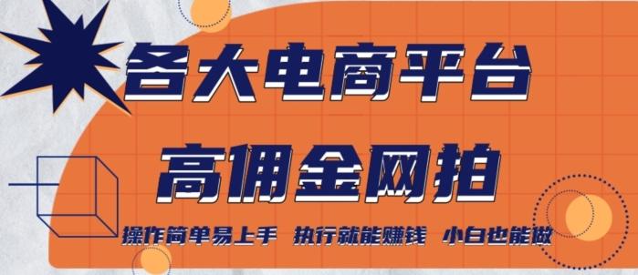 各大电商平台高佣金网拍，操作简单易上手，执行就能赚钱，小白也能做-87创业网