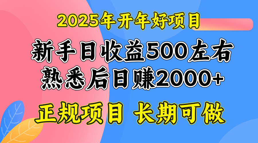 2025开年好项目，单号日收益2000左右-87创业网