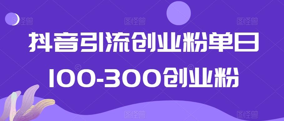 抖音引流创业粉单日100-300创业粉【揭秘】-87创业网