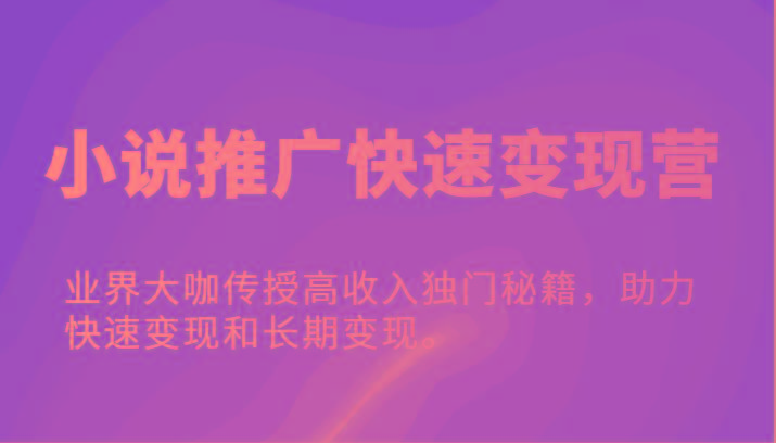 小说推广快速变现营-业界大咖传授高收入独门秘籍，助力快速变现和长期变现。-87创业网