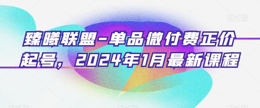 臻曦联盟-单品微付费正价起号，2024年1月最新课程-87创业网