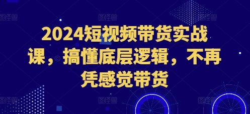 2024短视频带货实战课，搞懂底层逻辑，不再凭感觉带货-87创业网