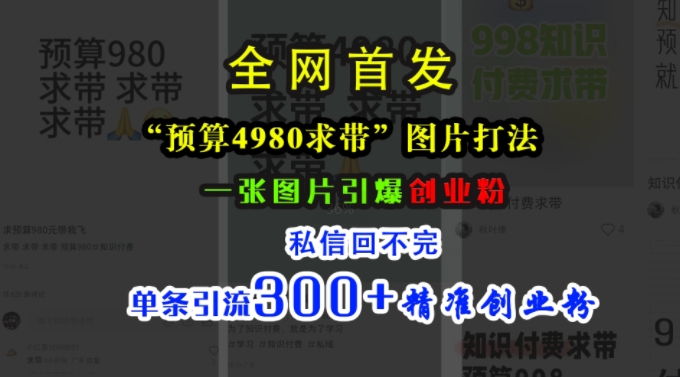 小红书“预算4980带我飞”图片打法，一张图片引爆创业粉，私信回不完，单条引流300+精准创业粉-87创业网