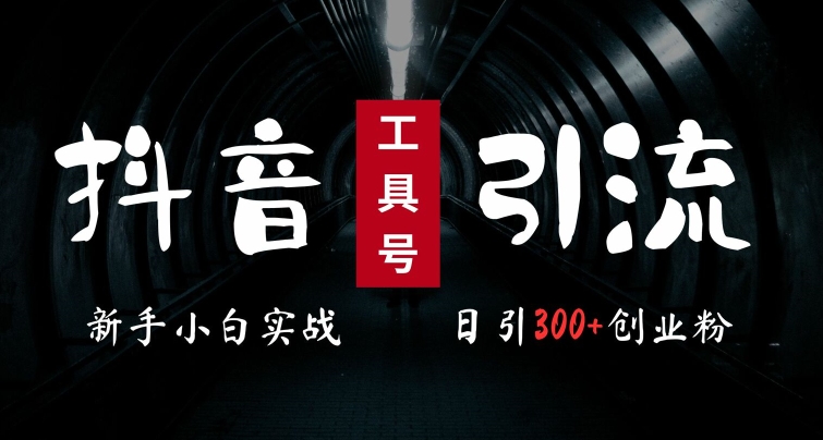 2024最新抖音工具号引流玩法，高效日引300+创业粉，当天变现5k，小白也可成为实战高手-87创业网