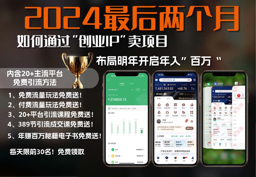 2024最后两个月如何通过”创业IP“卖项目年入”百万“,创业IP+最强引流…-87创业网