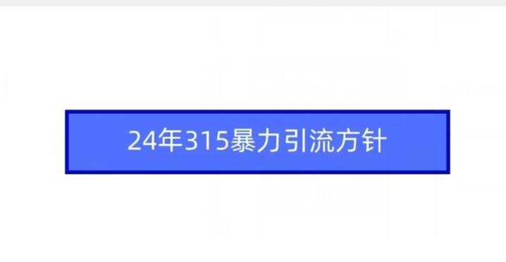 24年315暴力引流方针-87创业网