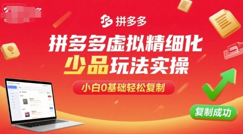 拼多多虚拟精细化少品玩法实操，小白0基础轻松复制-87创业网