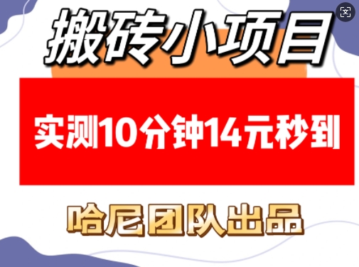 搬砖小项目，实测10分钟14元秒到，每天稳定几张(赠送必看稳定)-87创业网