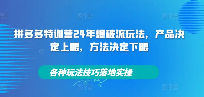 拼多多特训营24年爆破流玩法，产品决定上限，方法决定下限，各种玩法技巧落地实操-87创业网