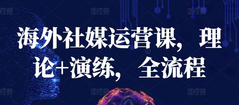 海外社媒运营课，理论+演练，全流程-87创业网