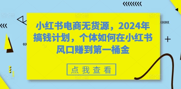 小红书电商无货源，2024年搞钱计划，个体如何在小红书风口赚到第一桶金-87创业网