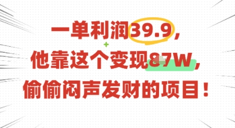 一单利润39.9，有人靠这个变现几十个，偷偷闷声发财的项目-87创业网