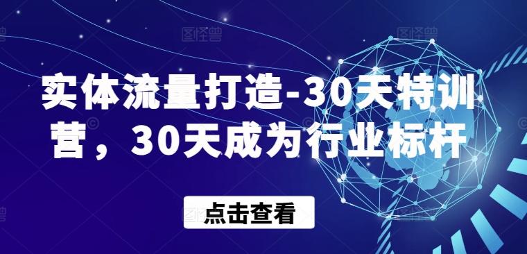 实体流量打造-30天特训营，30天成为行业标杆-87创业网