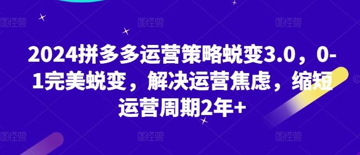 2024拼多多运营策略蜕变3.0，0-1完美蜕变，解决运营焦虑，缩短运营周期2年+-87创业网