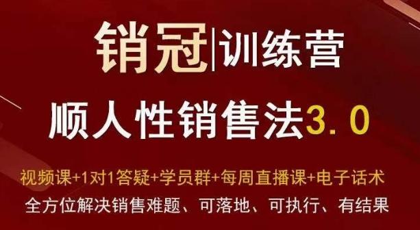 爆款！销冠训练营3.0之顺人性销售法，全方位解决销售难题、可落地、可执行、有结果-87创业网