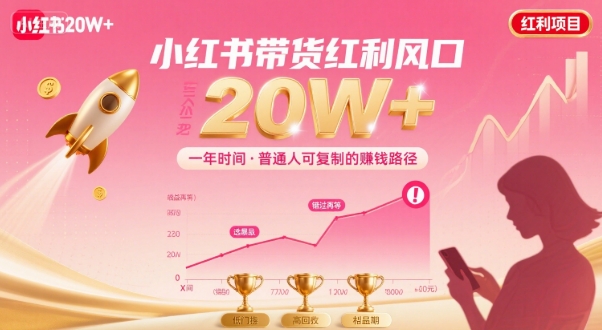 一年时间靠小红书带货项目年入20w+，最不能错的大红利项目-87创业网