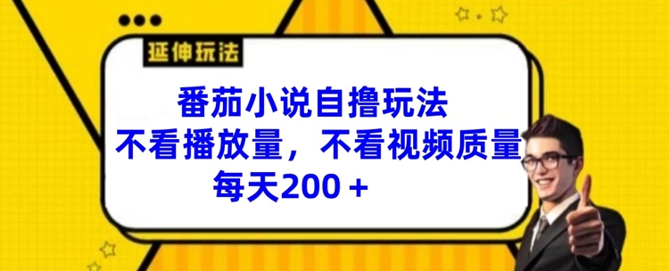 番茄小说自撸玩法，不看播放量，不看视频质量，每天200+【揭秘】-87创业网