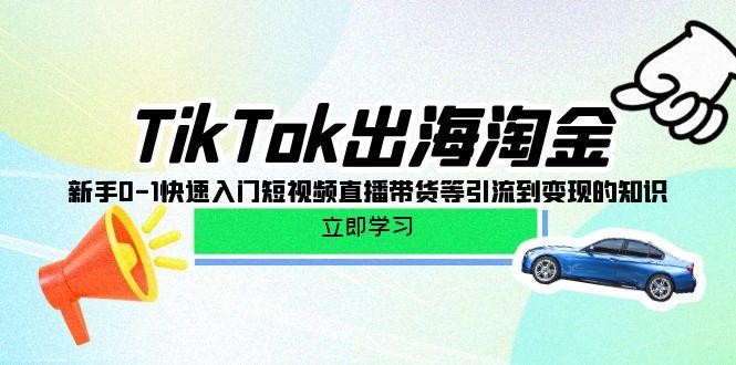 (10035期)TikTok-出海淘金，新手0-1快速入门短视频直播带货等引流到变现的知识-87创业网