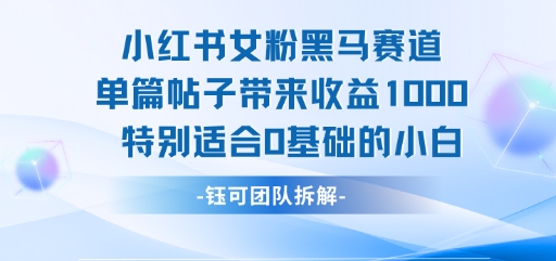 小红书女粉黑马赛道单篇帖子带来收益1k+，特别适合0基础的小白-87创业网