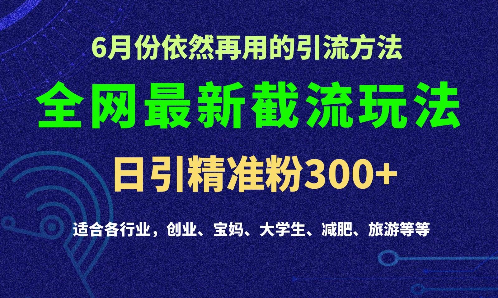 2024全网最新截留玩法，每日引流突破300+-87创业网