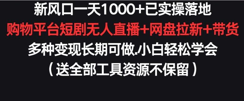 新风口一天1000+已实操落地购物平台短剧无人直播+网盘拉新+带货多种变现长期可做【揭秘】-87创业网