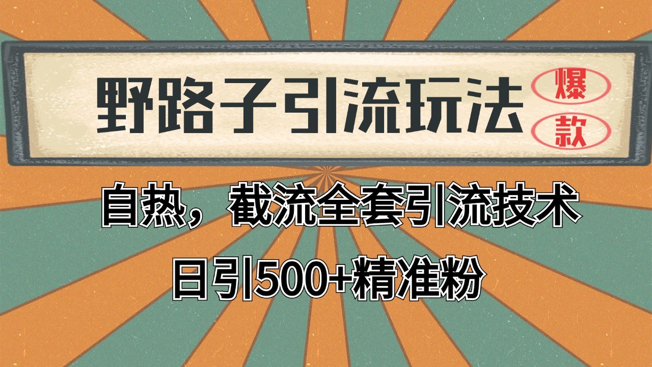 2024首发野路子引流玩法截流自热全平台打法，全自动引流【日引2000+精准客户】-87创业网