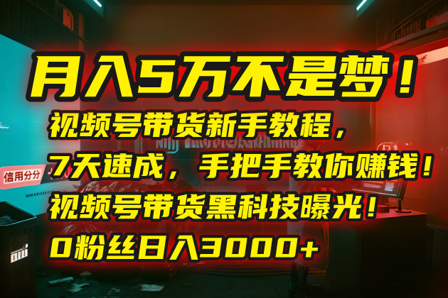 月入5万不是梦！视频号带货新手教程，7天速成，手把手教你赚钱！视频号…-87创业网