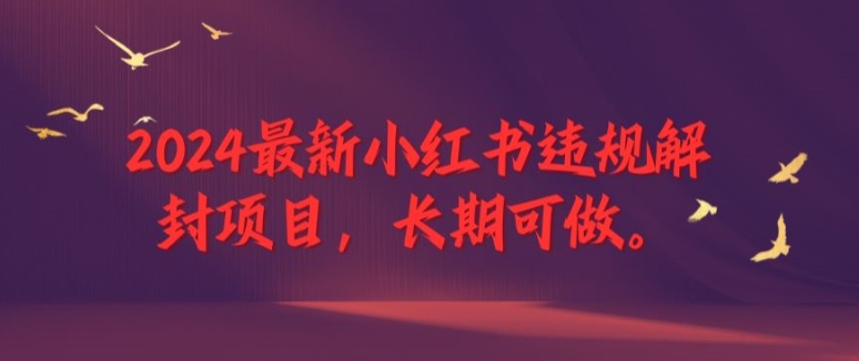 2024最新小红书违规解封项目，长期可做，一个可以做到退休的项目【揭秘】-87创业网