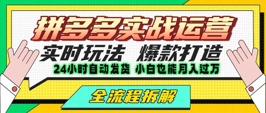 拼多多最新实战运营高投产：长久稳定项目，单店利润一天三位数-87创业网