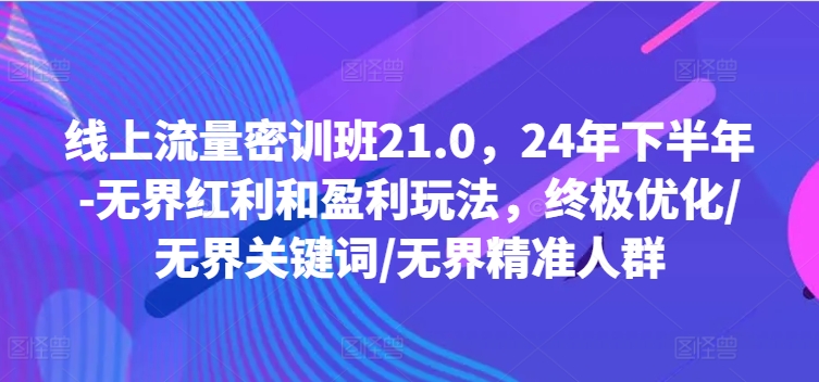 线上流量密训班21.0，24年下半年-无界红利和盈利玩法，终极优化/无界关键词/无界精准人群-87创业网