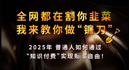 知识付费如何做到月入过W+，2025我来教你做“镰刀”【揭秘】-87创业网