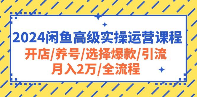 2024闲鱼高级实操运营课程：开店/养号/选择爆款/引流/月入2万/全流程-87创业网