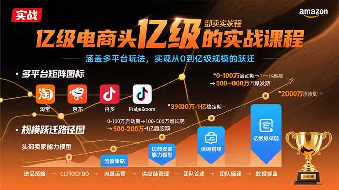 亿级电商头部卖家的实战课程：涵盖多平台玩法，实现从0到亿级规模的跃迁-87创业网