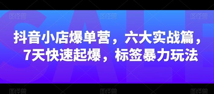 抖音小店爆单营，六大实战篇，7天快速起爆，标签暴力玩法-87创业网