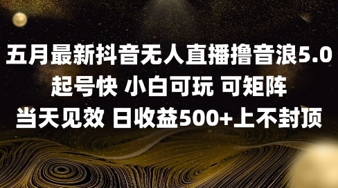 2025五月最新无人直播撸音浪单日产出5张+实操教程【揭秘】-87创业网
