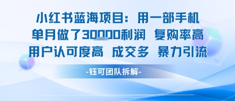 小红书蓝海项目，一部手机单月做了3W利润，小白也能月入过1W用户认可度高成交多-87创业网