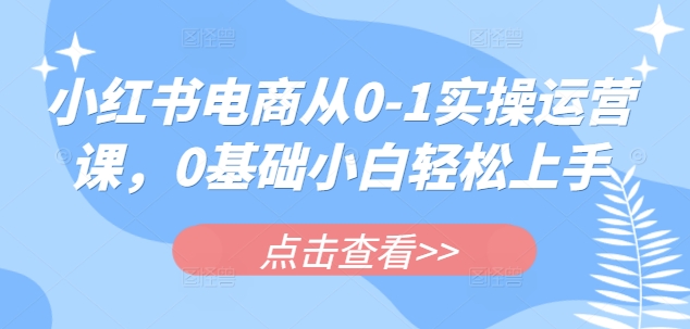 小红书电商从0-1实操运营课，0基础小白轻松上手-87创业网