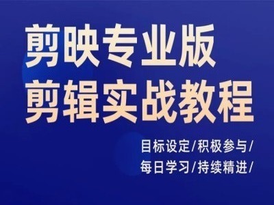 剪映专业版剪辑实战教程，目标设定/积极参与/每日学习/持续精进-87创业网