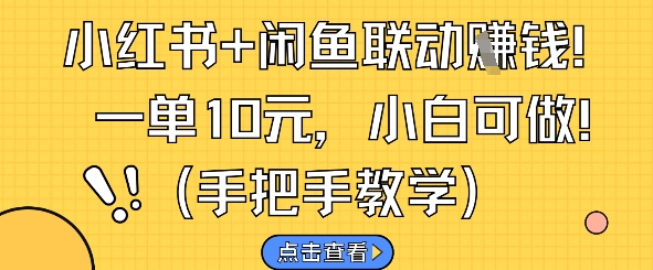 小红书+闲鱼联动挣钱，一单10元，小白可做-87创业网