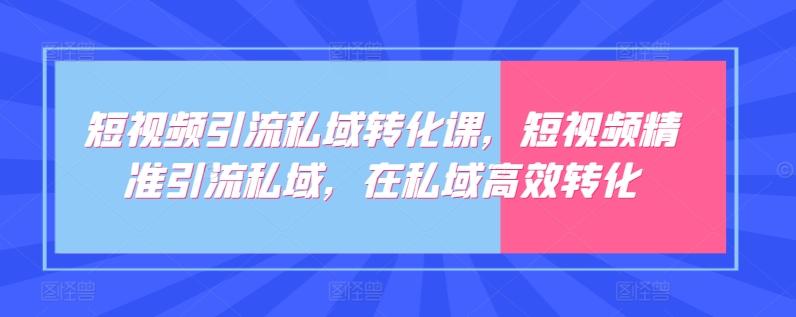 短视频引流私域转化课，短视频精准引流私域，在私域高效转化-87创业网