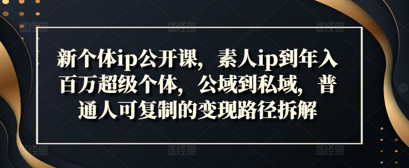 新个体ip公开课，素人ip到年入百万超级个体，公域到私域，普通人可复制的变现路径拆解-87创业网