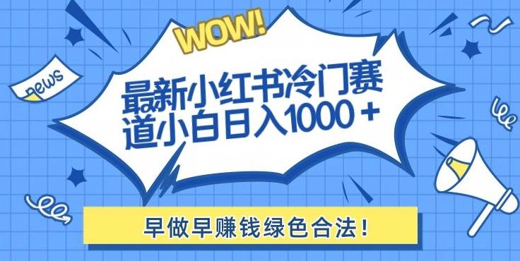 最新小红书冷门赛道日入1000+一部手机小白轻松-87创业网